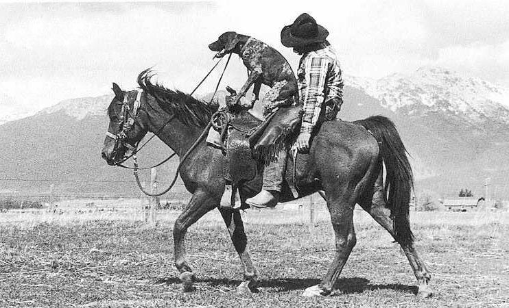 You can't gulp and gallop